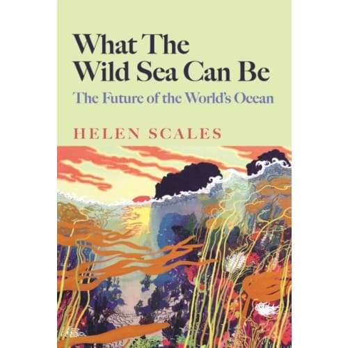 What the Wild Sea Can Be (inbunden, eng)
