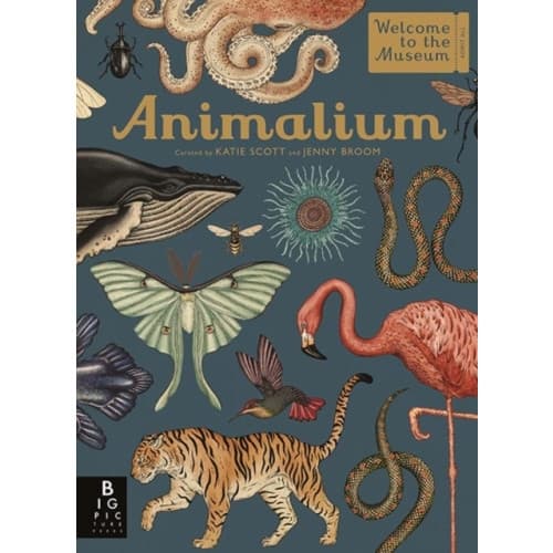 Animalium (inbunden, eng)