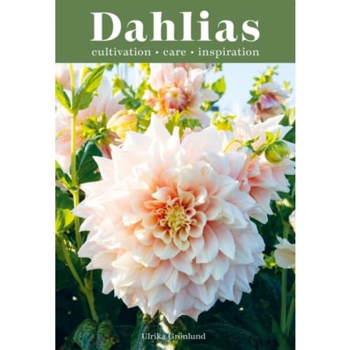 Dahlias (inbunden, eng)
