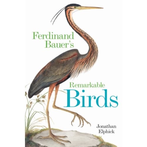 Ferdinand Bauer's Remarkable Birds (inbunden, eng)