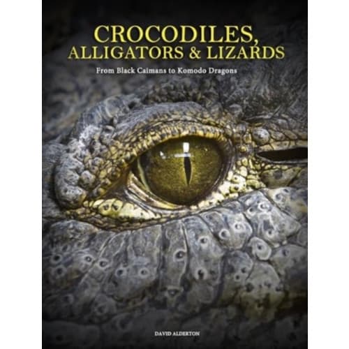 Crocodiles, Alligators & Lizards (inbunden, eng)