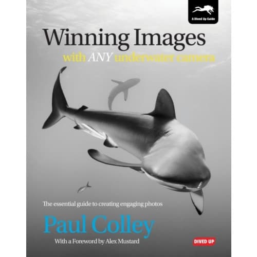 Winning Images with Any Underwater Camera (häftad, eng)