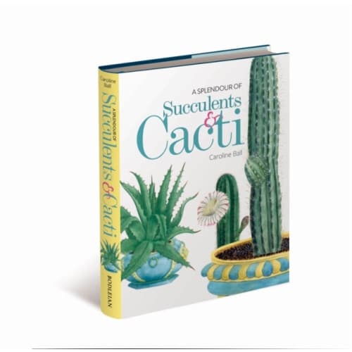 A Splendour of Succulents & Cacti (inbunden, eng)