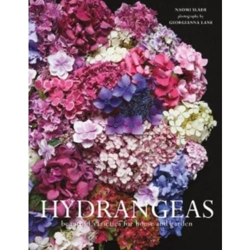 Hydrangeas (inbunden, eng)