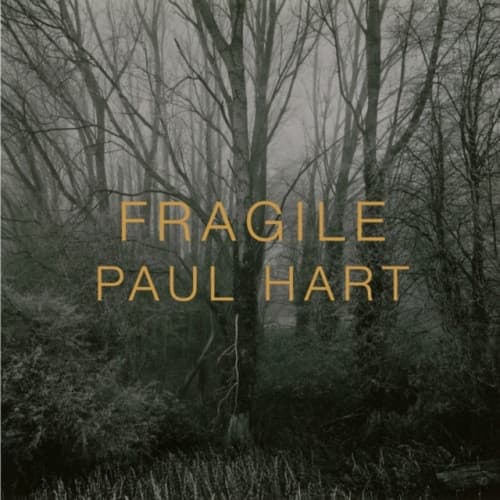 FRAGILE (inbunden, eng)
