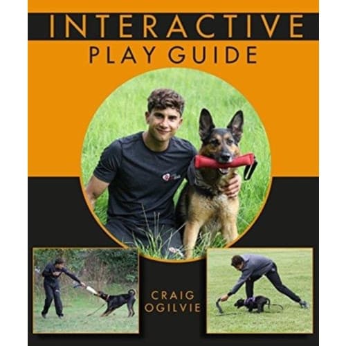 Interactive Play Guide (häftad, eng)