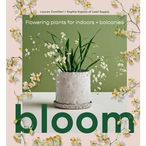 Bloom (inbunden, eng)
