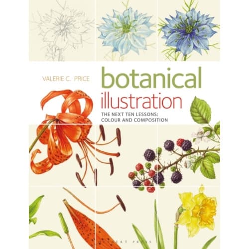 Botanical Illustration (häftad, eng)