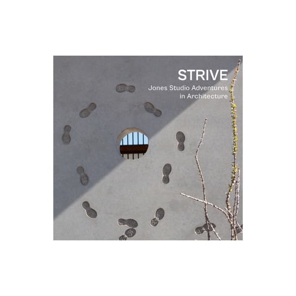 Strive (inbunden, eng)