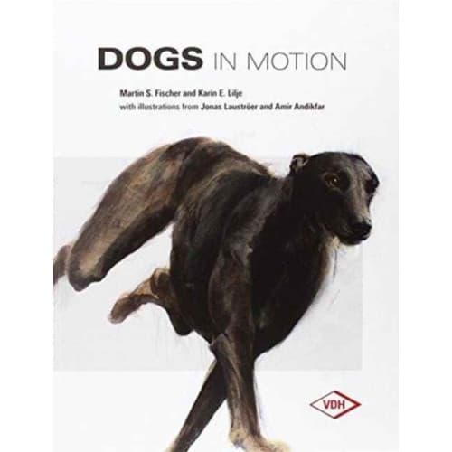 Dogs in Motion (inbunden, eng)