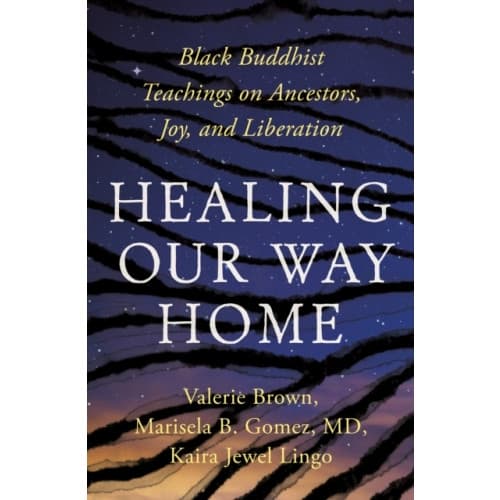 Healing Our Way Home (häftad, eng)