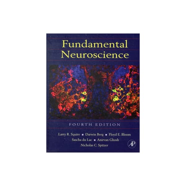 Fundamental Neuroscience (inbunden, eng)