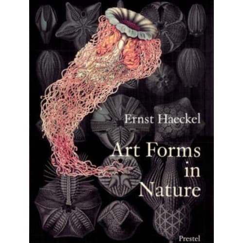 Art Forms in Nature (häftad, eng)