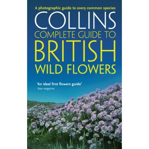 British Wild Flowers (häftad, eng)