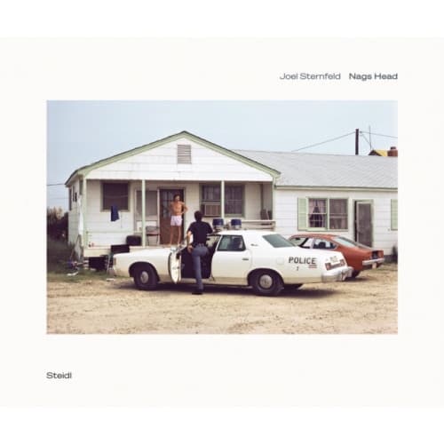 Joel Sternfeld: Nags Head (inbunden, eng)