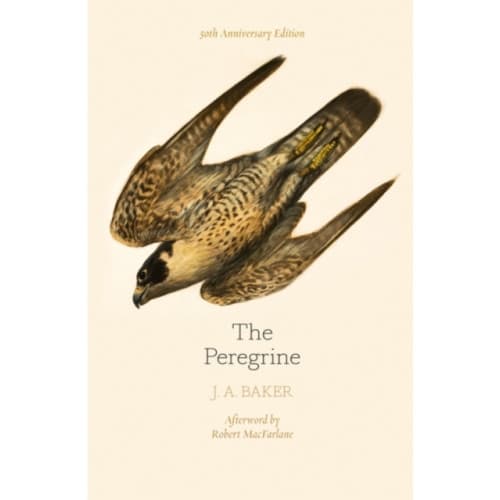 The Peregrine: 50th Anniversary Edition (häftad, eng)