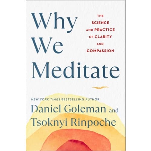 Why We Meditate (inbunden, eng)