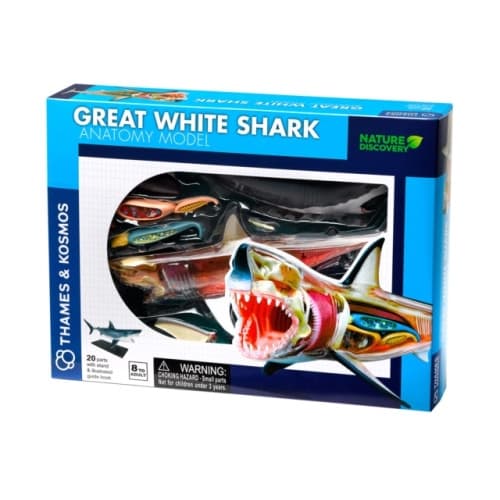 Great White Shark