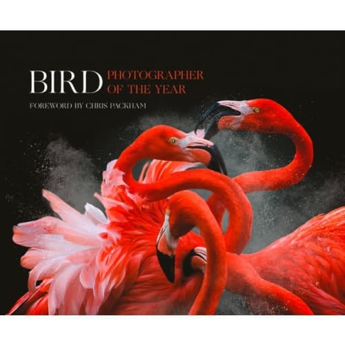 Bird Photographer of the Year (inbunden, eng)