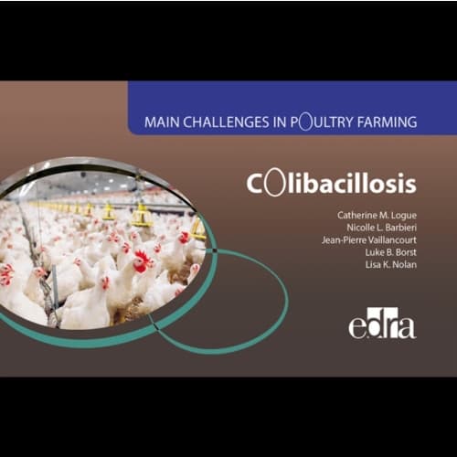 Colibacillosis - Main Challenges in Poultry Farming (bok, spiral, eng)