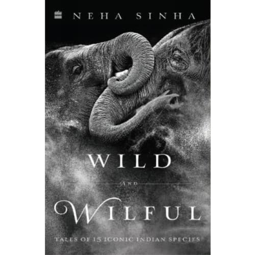 Wild And Wilful (häftad, eng)