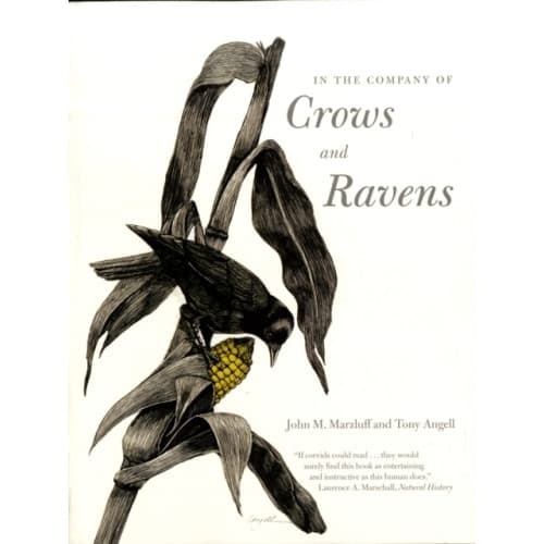 In the Company of Crows and Ravens (häftad, eng)