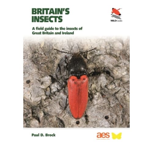 Britain's Insects (häftad, eng)