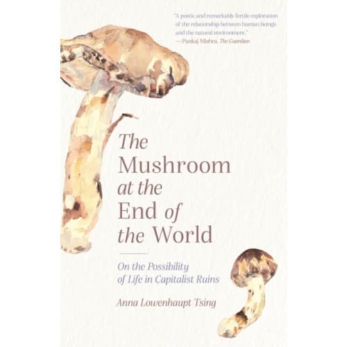 The Mushroom at the End of the World (häftad, eng)