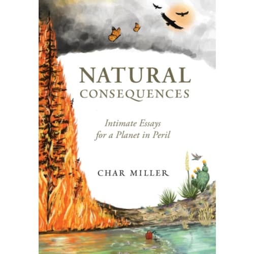 Natural Consequences (häftad, eng)