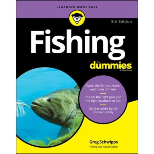 Fishing For Dummies (häftad, eng)