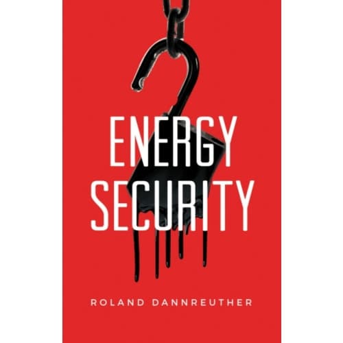 Energy Security (häftad, eng)