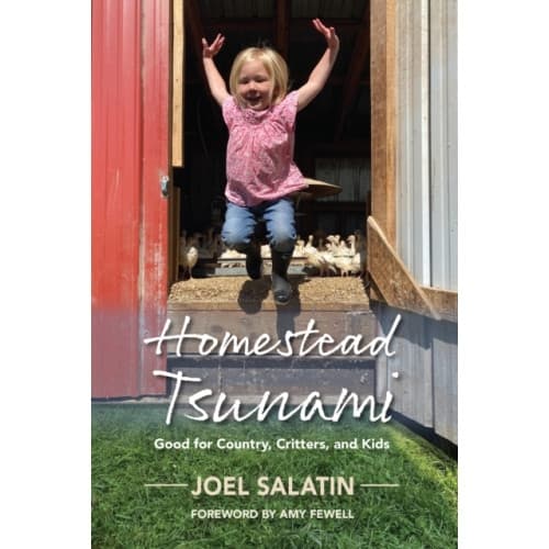 Homestead Tsunami (häftad, eng)