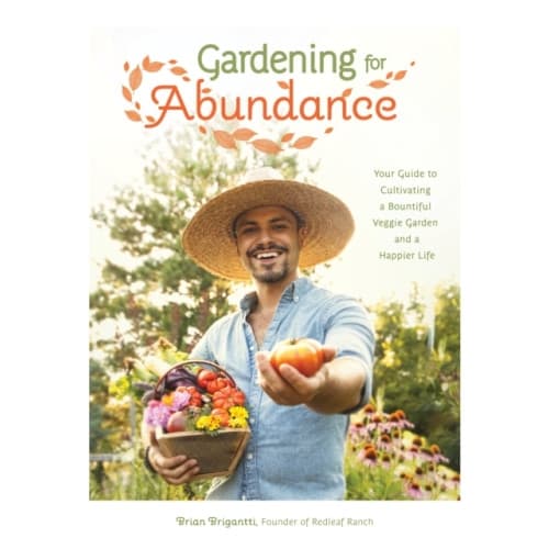 Gardening for Abundance (häftad, eng)