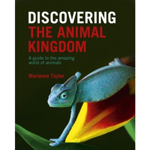 Discovering The Animal Kingdom (inbunden, eng)