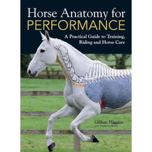 Horse Anatomy for Performance (inbunden, eng)
