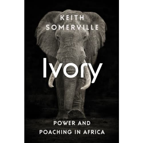 Ivory (häftad, eng)