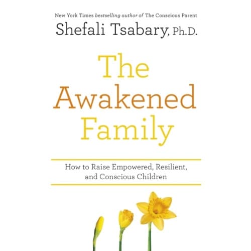 The Awakened Family (häftad, eng)