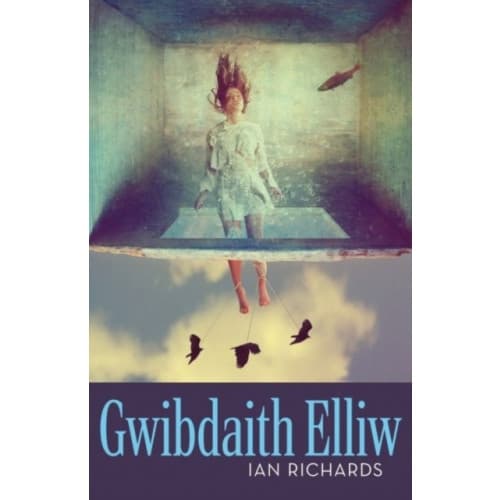 Gwibdaith Elliw (häftad, wel)