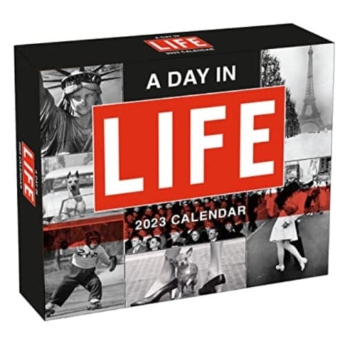DAY IN LIFE A (häftad, eng)