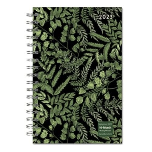 DESIGNER FANCY FERNS (häftad, eng)