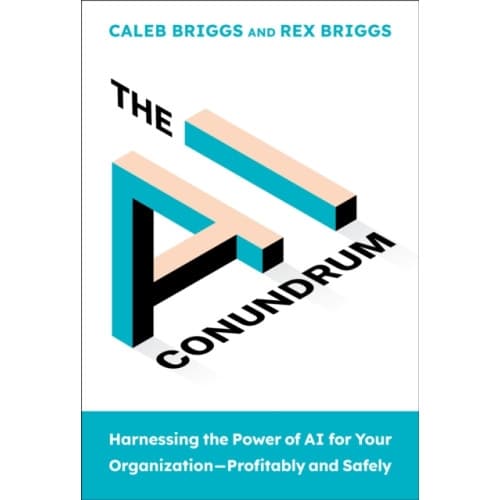 The AI Conundrum (inbunden, eng)