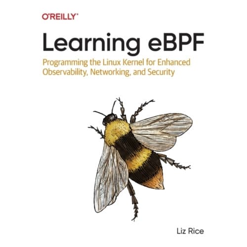 Learning eBPF (häftad, eng)