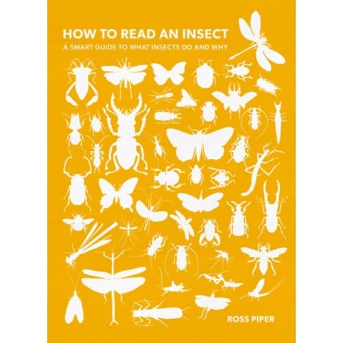 How to Read an Insect (häftad, eng)