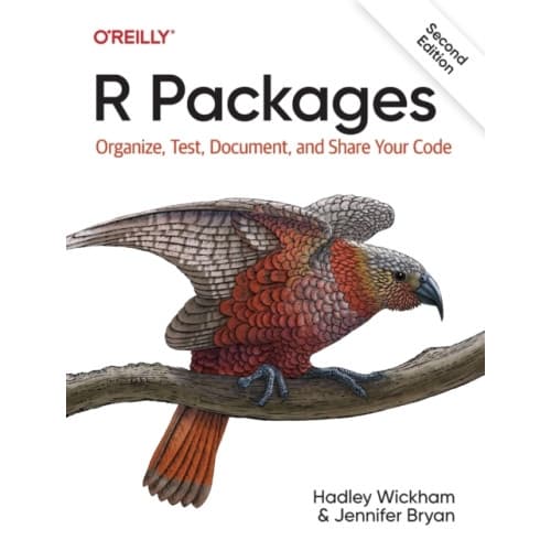 R Packages (häftad, eng)