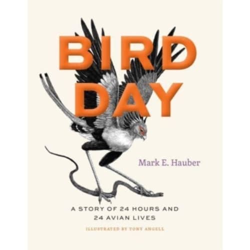 Bird Day (inbunden, eng)