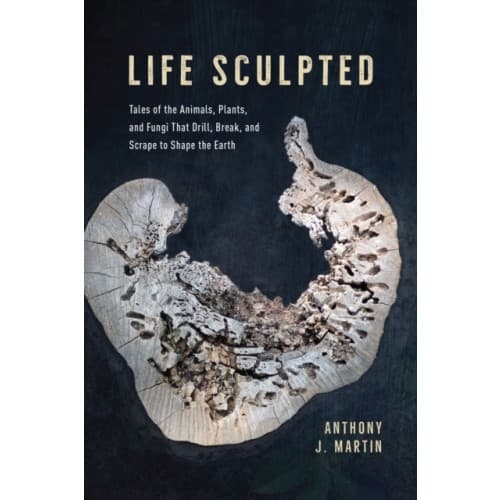 Life Sculpted (inbunden, eng)