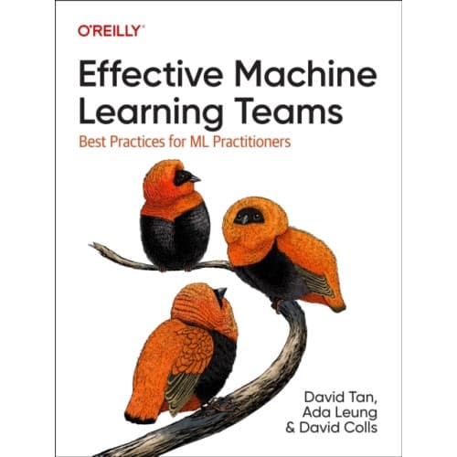 Effective Machine Learning Teams (häftad, eng)