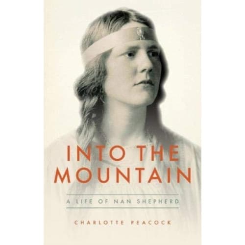 Into the Mountain (häftad, eng)