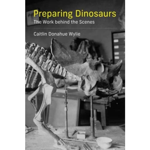 Preparing Dinosaurs (häftad, eng)