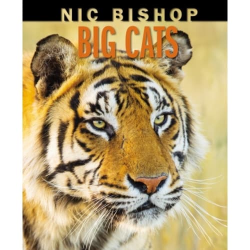 Nic Bishop Big Cats (inbunden, eng)